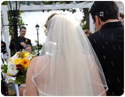 wedding photographs bride and groom